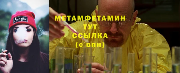 прущие грибы Медвежьегорск