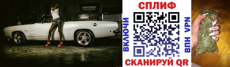 Марихуана сатива  Сясьстрой 